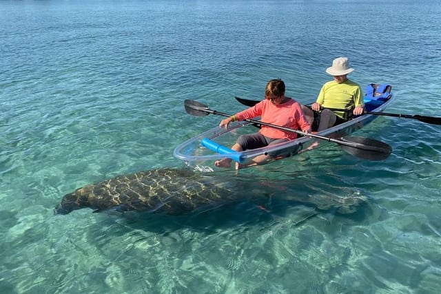 Clear Kayak Tour in Jupiter - Photo 1 of 15